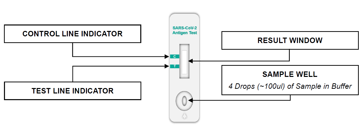 Opalin Dashboard